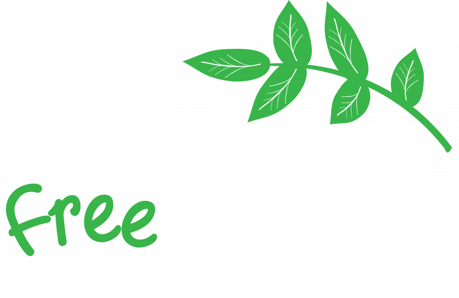 Rosewood Free School - Where individuality leads learning Rosewood Free School - Where individuality leads learning